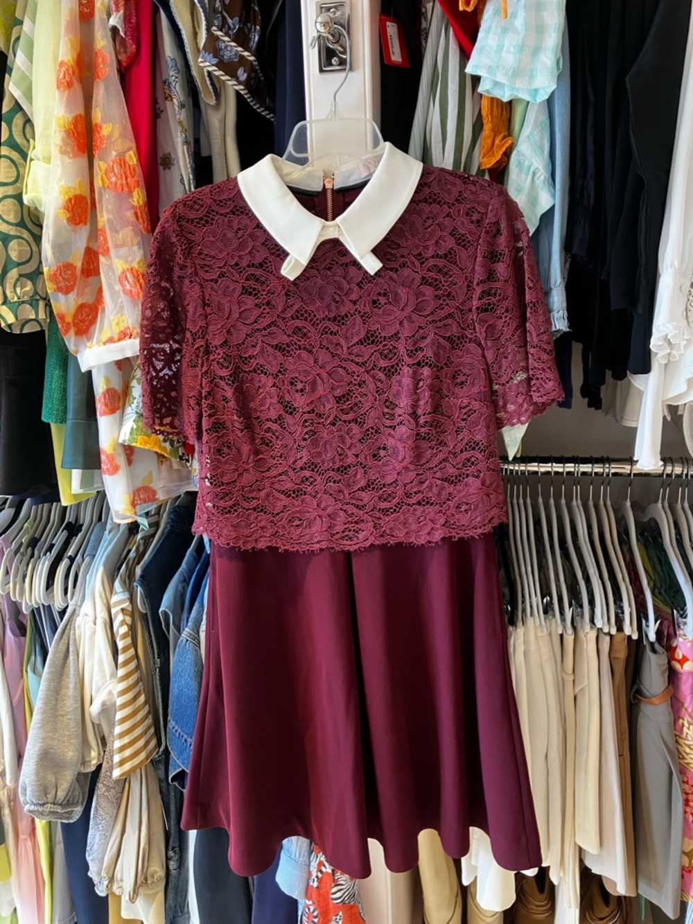 Ted Baker Burgundy Lace Mini Dress with White Collar